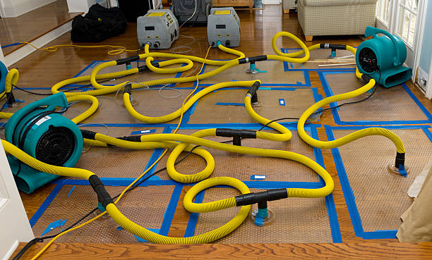 Professional Basement Flood Cleanup technician working in Montezuma, OH